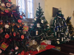 Branston Christmas Market - Christmas Trees for Charity