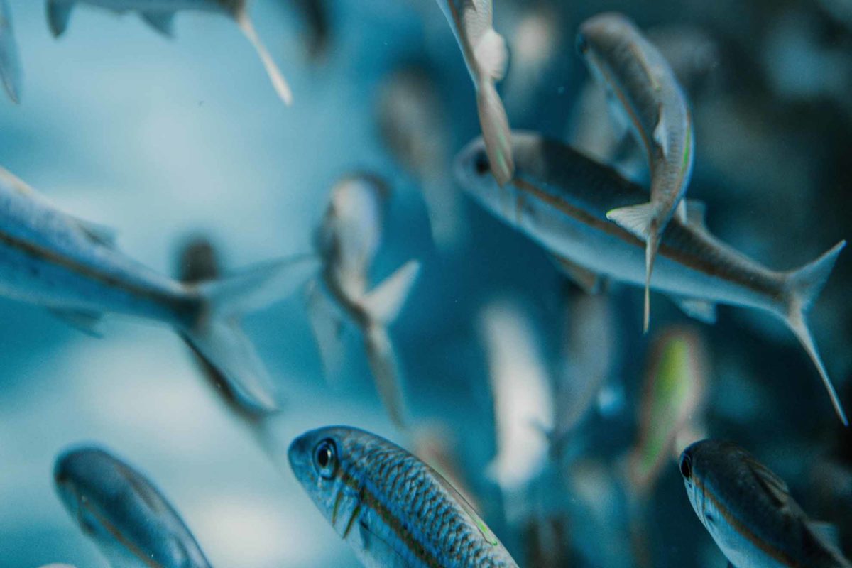 Privacy is a Slippery Fish